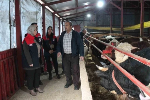 Hayvancılıkta aldığı destek ile b&uuml;y&uuml;yor
