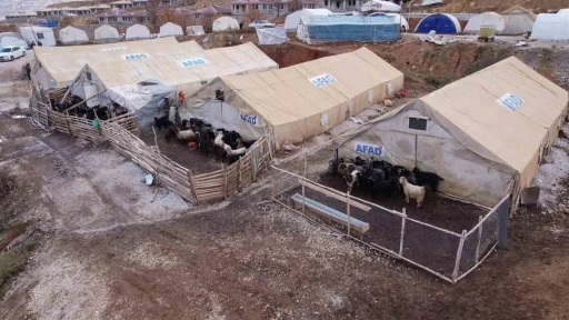 Hayvanlar i&ccedil;in &ccedil;adır ahır kent kuruldu
