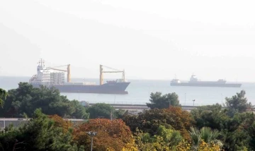 Hayvansal &uuml;r&uuml;n ihracatından milyonlarca d&ouml;viz gelir
