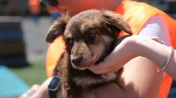Hepsiburada ve Kurtaran Ev&rsquo;den yeni iş birliği

