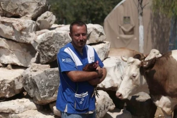 Her birinin ayrı hikayesi var: Emekli hayvanlar b&ouml;yle dinleniyor
