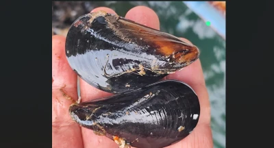 Hollanda'dan tatile gelen 2 kız kardeş zehirlenme ş&uuml;phesiyle hastanelik oldu!