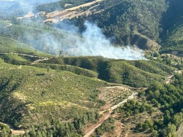 Honaz&rsquo;da orman yangını
