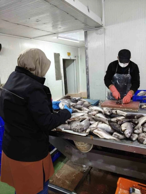 H&uuml;y&uuml;k&rsquo;te balık işleme tesisi ve restoranlarına denetim
