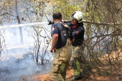 İBB&rsquo;den Bursa&rsquo;daki Orman Yangınına Acil Destek