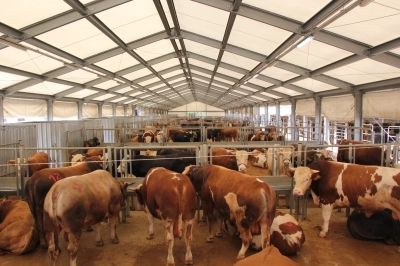 İBB'den Kurban Bayramı İ&ccedil;in 4 Modern Tesis