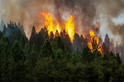 İBB&rsquo;den Orman Yangınlarına &Uuml;lke &Ccedil;apında Destek