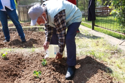 İBB'nin Halk Bostanlarına İlgi Artıyor