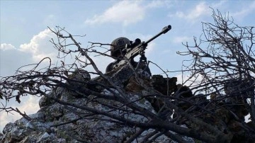 İ&ccedil;işleri Bakanlığının operasyonlarıyla 2022'de ter&ouml;r ve organize su&ccedil; &ouml;rg&uuml;tlerine ağır darbe vur