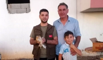 İdil&rsquo;de yaralı halde bulunan pe&ccedil;eli baykuş tedavi altına alındı
