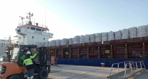 İhracattan d&ouml;nen patatesler imha edilecek