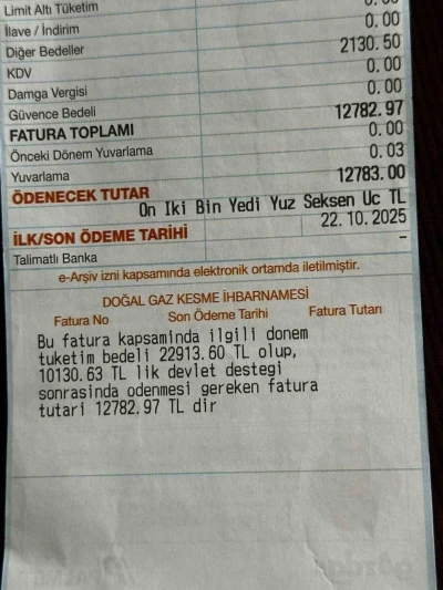 İki kişilik aileye 22 bin liralık doğal gaz şoku