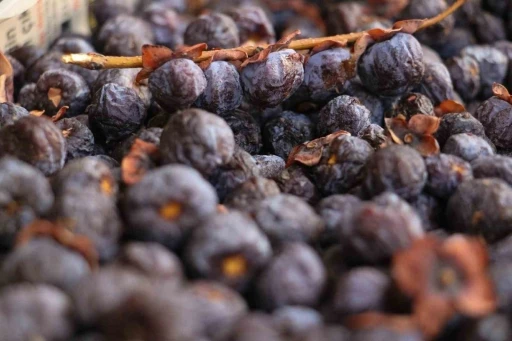 İki yılda bir meyve veren ağacın meyvesi, olgunlaşınca değil &ccedil;&uuml;r&uuml;y&uuml;nce t&uuml;ketiliyor
