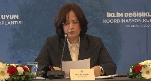 İklim Değişikliği ve Uyum Koordinasyon Kurulu Toplantısı ger&ccedil;ekleştirildi
