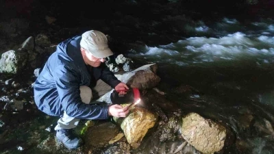 İnci kefalinin gece yolculuğu başladı
