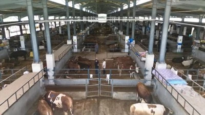 İneg&ouml;l Belediyesi hayvan pazarının kotra ihale tarihi belli oldu