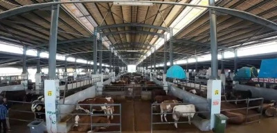 İneg&ouml;l Belediyesi Modern Hayvan Pazarı, y&uuml;zde 100'e ulaştı