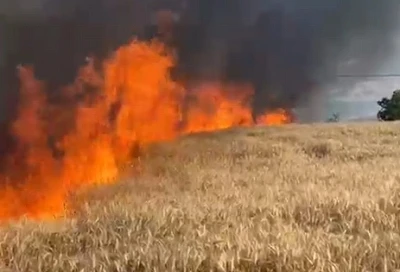 İneg&ouml;l'de  50 d&ouml;n&uuml;m buğday ekili tarla yandı