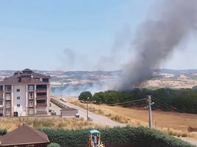 İneg&ouml;l'de anız yangını konutlara sı&ccedil;ramadan kontrol altına alındı