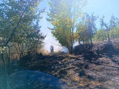 İneg&ouml;l'de orman yangını