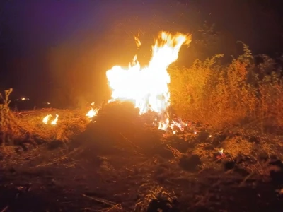 İneg&ouml;l'de otlukta &ccedil;ıkan ve ormana sı&ccedil;rayan yangında 20 d&ouml;n&uuml;m zarar g&ouml;rd&uuml;