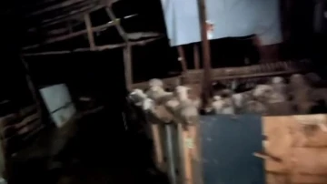 İneg&ouml;l&rsquo;de k&uuml;&ccedil;&uuml;kbaş kurbanların olduğu ağılı su bastı