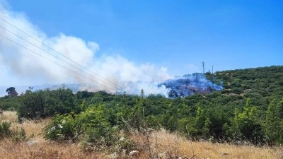 İneg&ouml;l'deki orman yangını kontrol altına alındı