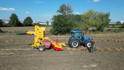 İneg&ouml;l&rsquo;&uuml;n cerrah kuru fasulyesinde hasat zamanı