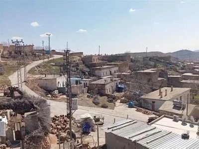 İnekte kuduz &ccedil;ıktı mahalle karantinaya alındı