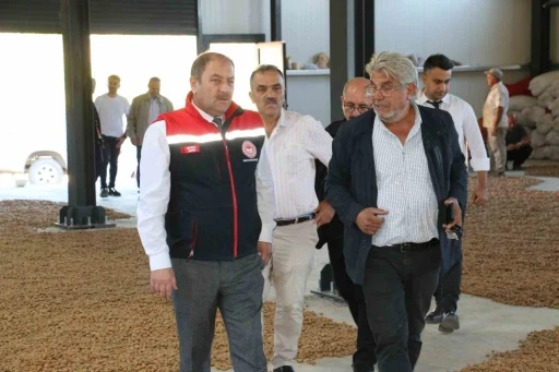 İşadamı Kemaliye&rsquo;de 5 bin badem ağacı dikti
