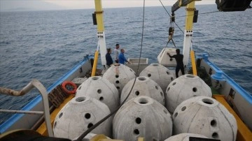 İskenderun K&ouml;rfezi'ne bırakılan yapay resiflerle canlı &ccedil;eşitliliği artacak