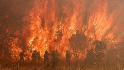 İspanya'da aşırı sıcaklar orman yangınına neden oldu: 30 bin hektar yandı