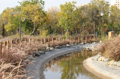 İstanbul'a 2 Milyon Metrekarelik Yeni Yeşil Alan Kazandırıldı