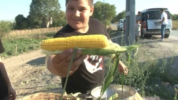 İstanbul bu tarlaya akın ediyor, vatandaşlar tarladan topladıkları &uuml;r&uuml;nleri satın alıyor
