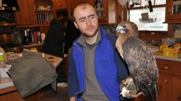 İstanbul &ccedil;evresinde kurt yaşaması b&uuml;y&uuml;k &ouml;nem taşıyor