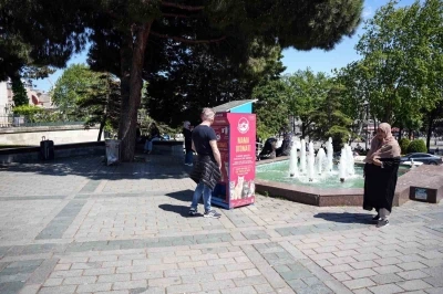 İstanbul&rsquo;da kedi taklidi yapan martıların mama avı kamerada
