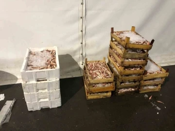 İstanbul&rsquo;da su &uuml;r&uuml;nleri denetiminde k&ouml;pek balığı ele ge&ccedil;irildi