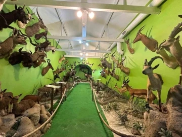 Yaban hayvanlarına ait y&uuml;zlerce tahnitin ele ge&ccedil;irildiği operasyonunun detayları ortaya &ccedil;ıktı