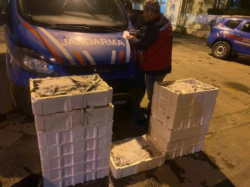 İstanbul&rsquo;da yasadışı k&uuml;&ccedil;&uuml;k boy balık nakli yapanlara ceza yağdı