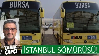 İSTANBUL S&Ouml;M&Uuml;R&Uuml;S&Uuml; ! 