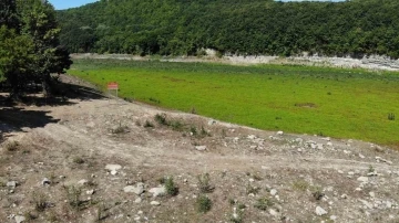 İstanbul&rsquo;u destekleyen barajlardaki b&uuml;y&uuml;k değişim: Aylar &ouml;ncesine kadar hayvanlar otluyordu
