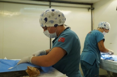 İzmir&rsquo;de 7 Bin Sokak Kedisi Kısırlaştırıldı