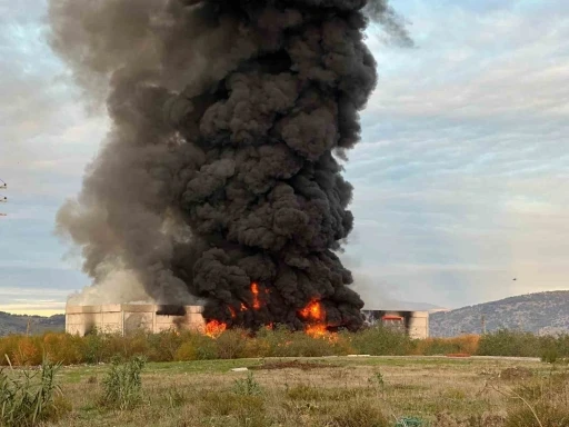 İzmir&rsquo;de alevler fabrikayı, dumanlar g&ouml;ky&uuml;z&uuml;n&uuml; sardı; itfaiye m&uuml;dahale ediyor
