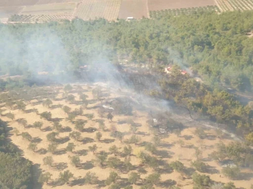 İzmir&rsquo;de arazide &ccedil;ıkan yangın ormana sı&ccedil;radı; havadan m&uuml;dahale de başladı
