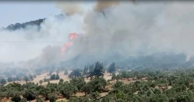 İzmir'de orman yangını