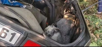 İzmir&rsquo;de otomobil şarampole u&ccedil;tu: 2 &ouml;l&uuml;
