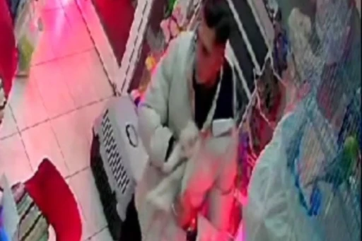 İzmir&rsquo;de şaşırtan hırsızlık: Cins kediyi montunun i&ccedil;ine gizleyip &ccedil;aldı
