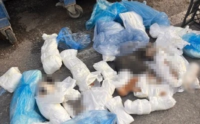 İzmir&rsquo;deki &rsquo;33 &ouml;l&uuml; kedi&rsquo; vahşetinde yeni gelişme