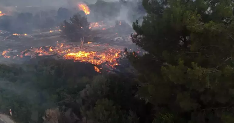 İzmir'deki orman yangını 2'nci g&uuml;n&uuml;nde
