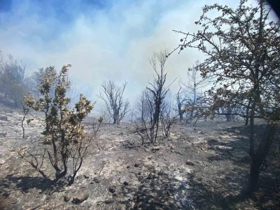 İzmir&rsquo;deki orman yangını kontrol altına alındı